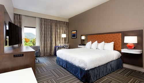 Zimmer, 1 King-Bett, barrierefrei (Mobility & Hearing, Roll-in Shower)