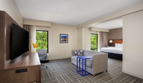 Studiosuite, 1 King-Bett und Schlafsofa (Microwave)