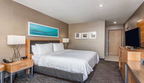 Standardzimmer, 1 King-Bett, barrierefrei (Communications)