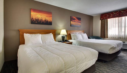 Standardzimmer, 2 Queen-Betten (Double Queen Room)