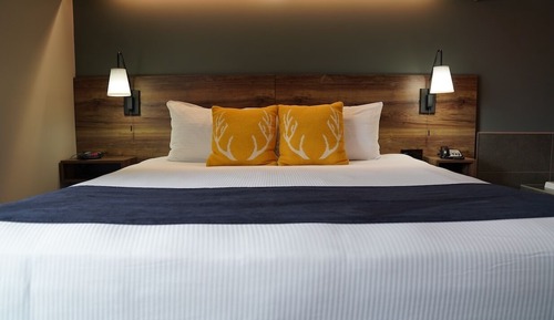 Junior-Suite, 1 King-Bett