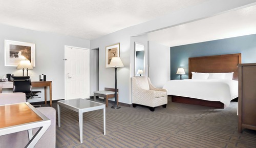 Suite, 1 King-Bett, Nichtraucher, Kühlschrank und Mikrowelle (with Sofabed)