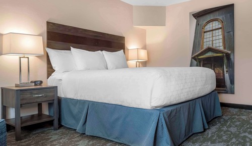 Standardzimmer, 1 King-Bett, Nichtraucher (Not Pet Friendly)