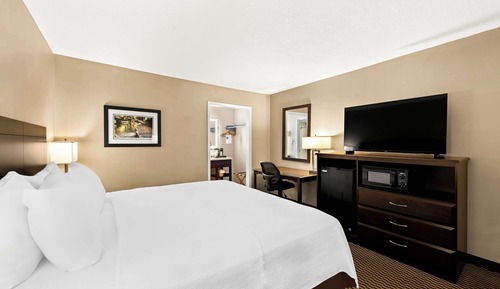 Standardzimmer, 1 King-Bett, Nichtraucher, Kühlschrank und Mikrowelle