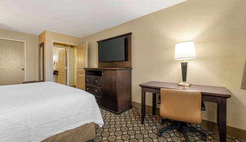 Suite, 1 King-Bett, Kühlschrank und Mikrowelle