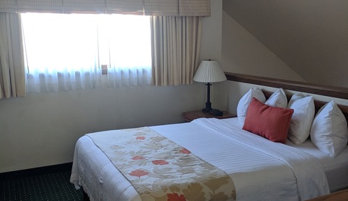 1 Queen Bed Penthouse Suite - BiLevel