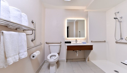 Zimmer, barrierefrei, Nichtraucher (Mobility, Roll-In Shower)