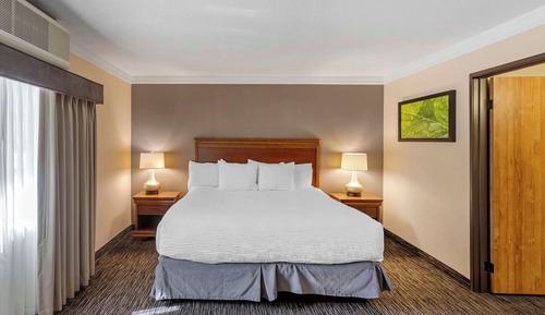 Suite, 1 King-Bett, Whirlpool