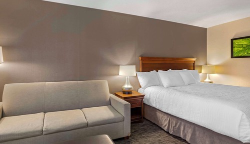 Standardzimmer, 1 King-Bett, Mikrowelle (with Sofabed)