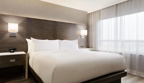 Suite, 1 King-Bett, Ausblick