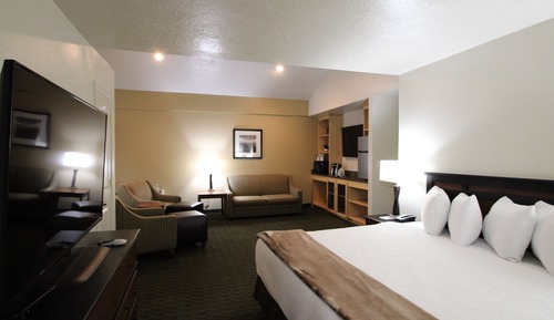 Executive-Suite, 1 King-Bett und Schlafsofa (Executive Suite Walk-in Shower)