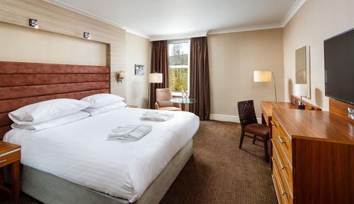 Superior-Zimmer, 1 King-Bett, Nichtraucher, Gartenblick