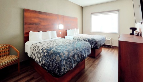 Standardzimmer, 2 Queen-Betten, Nichtraucher