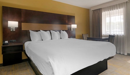 Suite, 1 King-Bett, Nichtraucher, Kühlschrank und Mikrowelle (with Sofabed)