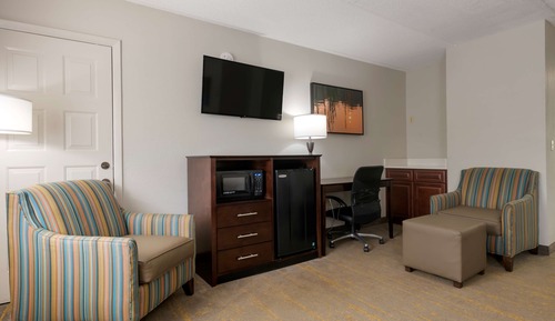 Standardzimmer, 1 King-Bett, Nichtraucher, Kühlschrank und Mikrowelle (Larger Room)