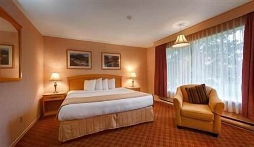 Executive-Zimmer, 1 King-Bett und Schlafsofa