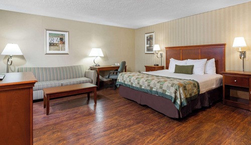 Zimmer, 1 King-Bett und Schlafsofa, Raucher
