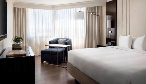 Executive-Suite, 1 King-Bett und Schlafsofa