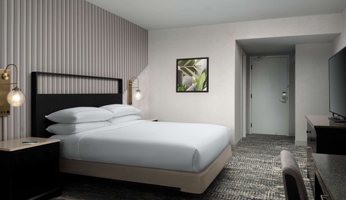 Suite, 1 King-Bett (Mini)