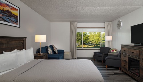 1 Queen Bed Standard with pullout sofa - Accessible - 3rd and 4th Floor