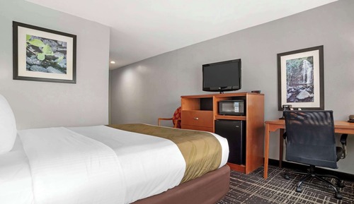 Zimmer, 1 Doppelbett, Nichtraucher