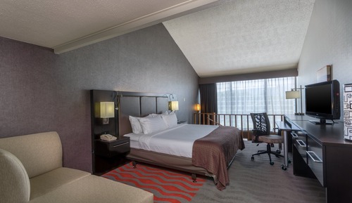 Suite, 1 Schlafzimmer