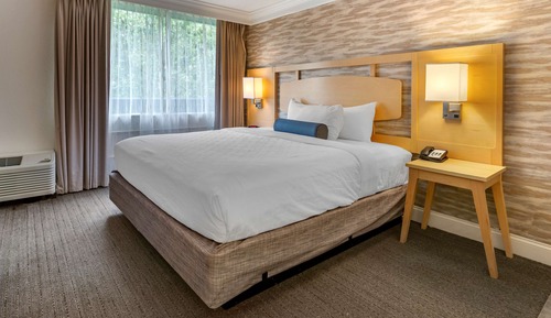 Suite, 1 King-Bett, Nichtraucher, Whirlpool