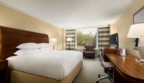 Zimmer, 1 King-Bett, barrierefrei (Roll-In Shower)