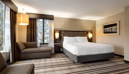 Junior-Suite, 1 King-Bett