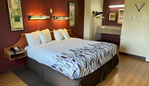 Suite, 1 King-Bett und Schlafsofa, Nichtraucher (2 Rooms)