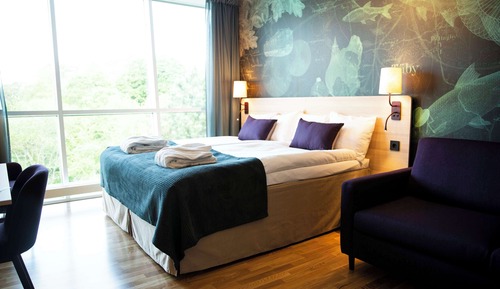 Superior-Zimmer, Mehrere Betten