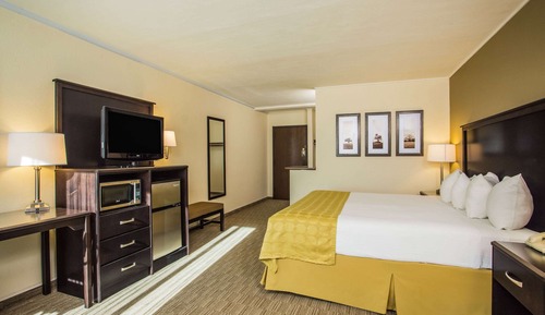 Zimmer, 1 King-Bett, Nichtraucher, Poolseite