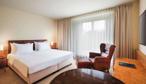 Deluxe-Zimmer, 1 Queen-Bett