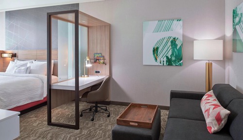 Suite, 1 King-Bett und Schlafsofa (Mobility/Hearing Access, Roll-In Shwr)