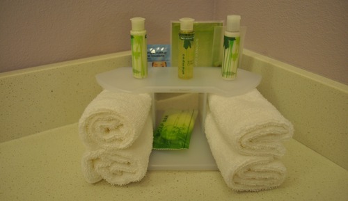 Suite, barrierefrei (Hearing, Roll-In Shower)