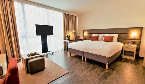 Studio, 1 King-Bett und Schlafsofa, Stadtblick