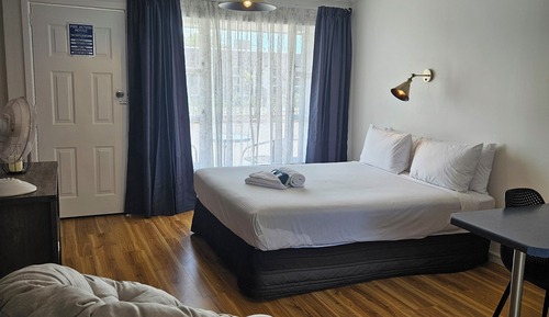 Executive-Studio, Haustiere gestattet (Unit)