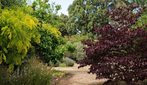 Zimmer, Balkon, zum Garten hin (Cora's Unit)