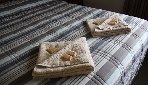 Standardzimmer, 1 Schlafzimmer, Nichtraucher (Standard Queen Room)