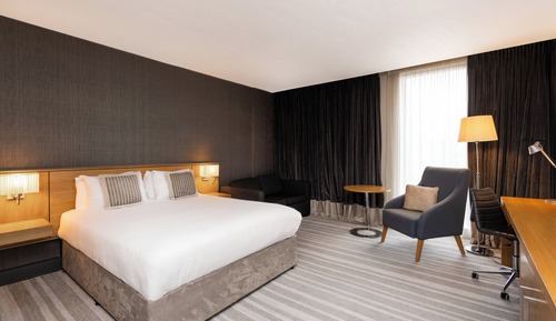 Standardzimmer, 1 King-Bett und Schlafsofa