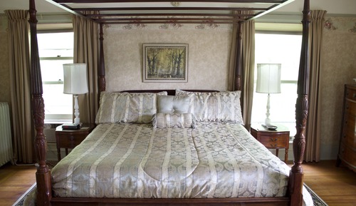 Elite-Suite, 1 King-Bett, Whirlpool (The Ammi Wright)