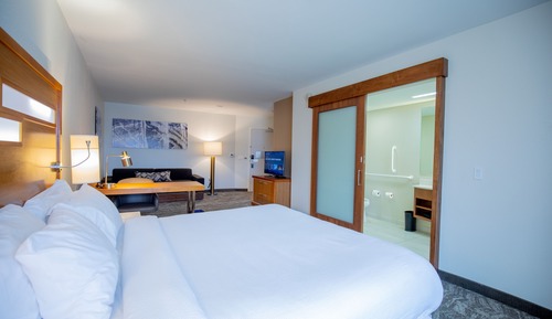 Studio, 1 King-Bett und Schlafsofa, Nichtraucher (Hearing Accessible)