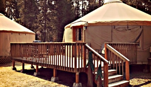 Zimmer (Yurt, Pets OK, Linens Available)