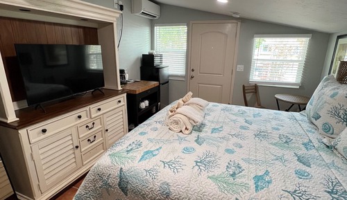 Junior-Zimmer, 1 Queen-Bett, Kühlschrank und Mikrowelle (Birdhouse )