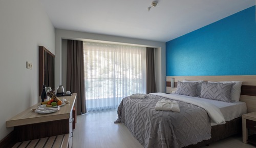 STANDARD FRENCH LAND VIEW