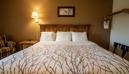 Standardzimmer, 1 King-Bett (Dog Friendly)