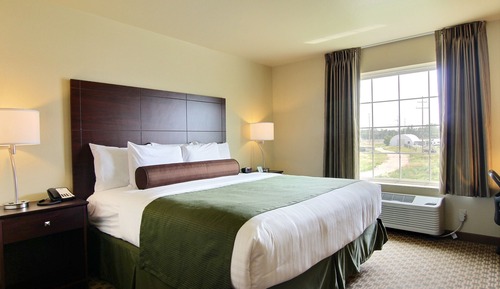 Room, 1 King Bed with Whirlpool, Non Smoking