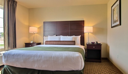 Room, 1 King Bed, Accessible Roll in Shower, Non Smoking