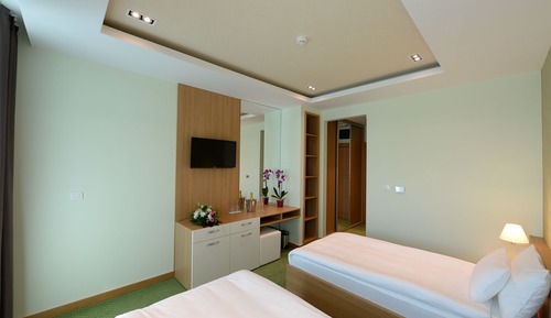 Standard-Zweibettzimmer, 2 Einzelbetten, Nichtraucher, Bergblick