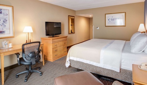 Zimmer, 1 King-Bett, Nichtraucher, Kühlschrank